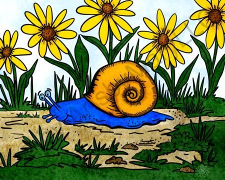 Greeting Cards Sylvan Snail