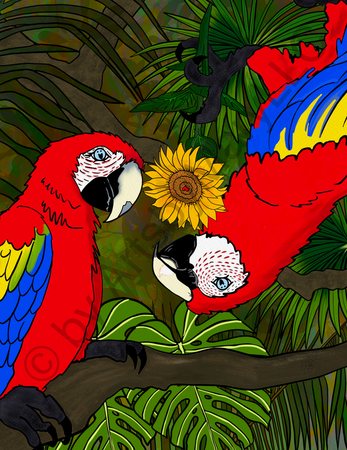 Greeting Cards Bugging You - Macaws 