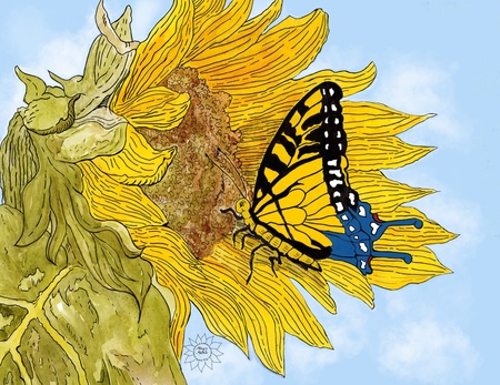 Art Prints Adel the Butterfly