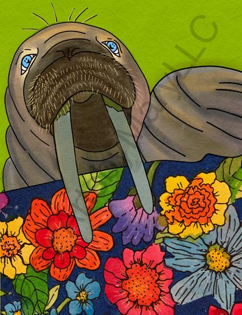 Greeting Cards Wally Walrus 