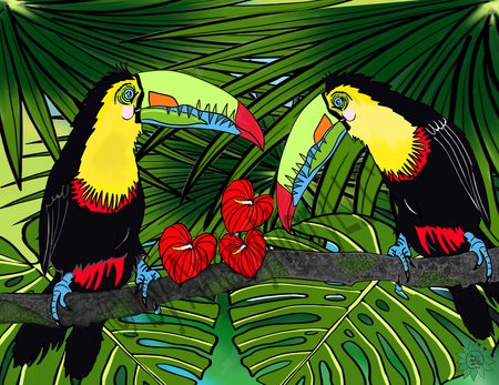 Art Prints Charlie and Sophie Toucan