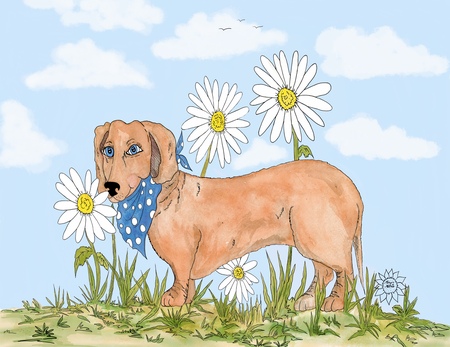 Art Prints Daisy Among Daisies