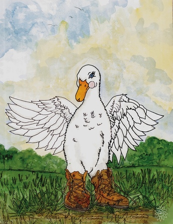 Art Prints Davey Duck