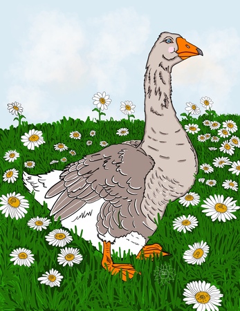 Art Prints Gabi Goose
