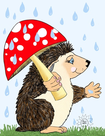Art Prints Hoban Hedgehog