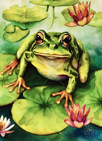 Greeting Cards Frog Sitting on a Lily Pad