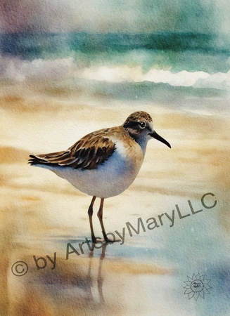 Greeting Cards  Whimsical Serenity Sandpiper