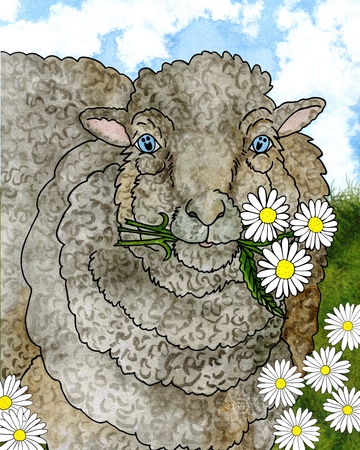 Art Prints Mocha the Sheep