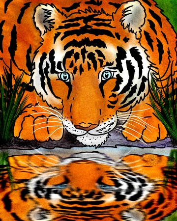 Art Prints Reflection Tiger