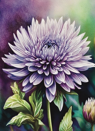 Greeting Cards Dahlia 