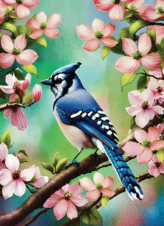 Art Prints Blue Jay Among the Dogwoods