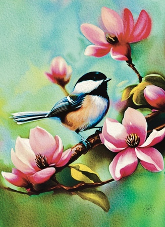 Art Prints Chester the Chickadee in the Magnolia Tree