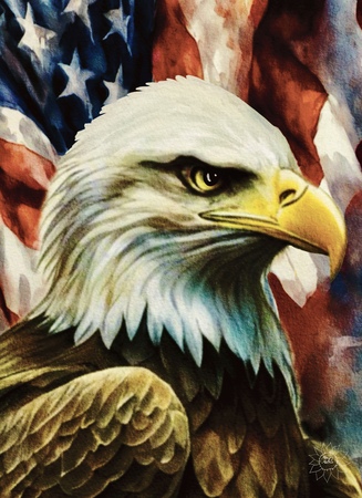 Greeting Cards Whimsical Patriot Eagle and Flag