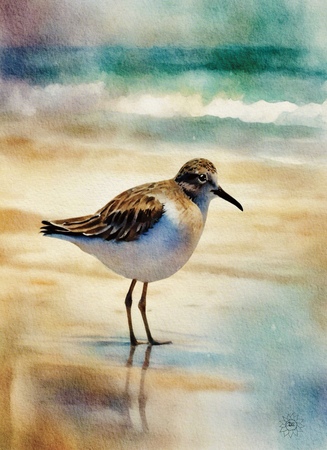 Greeting Cards  Whimsical Serenity Sandpiper
