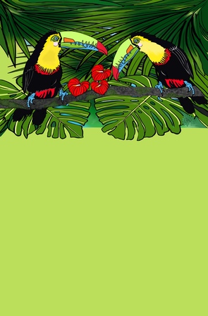 Notepads Charlie and Sophia Toucan