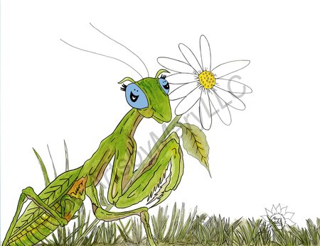 Greeting Cards Manny The Praying Mantis