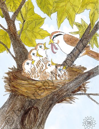 Art Prints Mom and Baby Birds