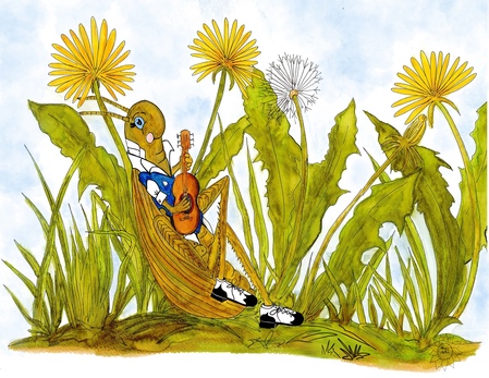 Greeting Cards Musical Cricket