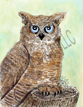 Greeting Cards Oliver Owl