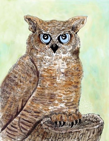 Art Prints Oliver Owl