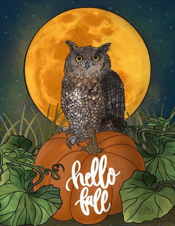 Art Prints Otto the Owl