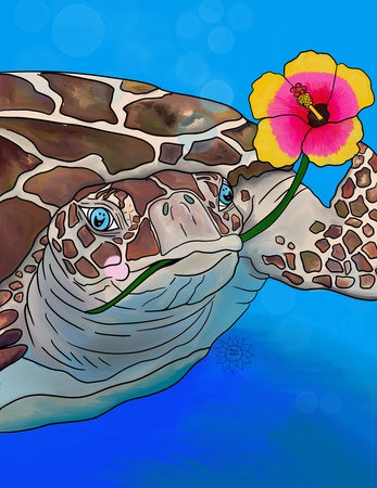 Art Prints Sawyer the Turtle