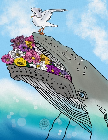 Greeting Cards Shalala The Whale