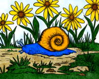 greeting-cards Sylvan Snail
