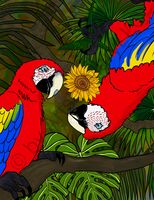 greeting-cards Bugging You - Macaws 