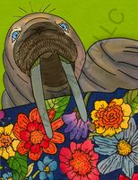 Art Prints Wally Walrus 