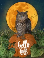 Art Prints Otto the Owl