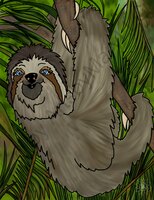 Art Prints Winifred Sloth - Han..