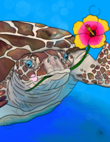 Art Prints Sawyer The Turtle