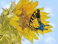 Art Prints Adel the Butterfly