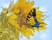 Art Prints Ava the butterfly