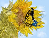 Art Prints Adel The Butterfly