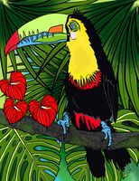 greeting-cards Charlie Toucan