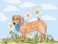 Art Prints Daisy Among Daisies