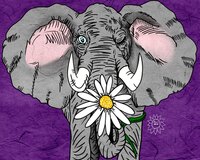 Art Prints Eli Elephant