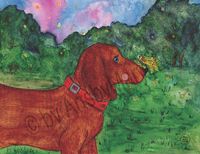 Greeting Cards Everybody Needs A Li..