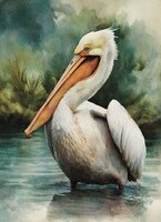greeting-cards Casper the White Pelican