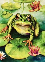 Greeting Cards Frog Sitting on a Li..