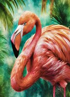Art Prints Coral the Flamingo