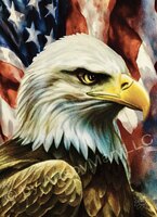 Greeting Cards Whimsical Patriot Ea..
