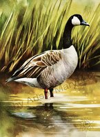 Greeting Cards Whimsical Wonder Can..