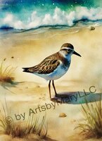 Greeting Cards Whimsical Delights W..