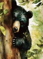 Art Prints Black Bear Cub Peeki..