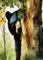 Art Prints Black Bear Peeking f..