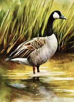 Art Prints A Voyage of Whimsy C..