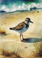 Art Prints Flight of Whimsy Wil..